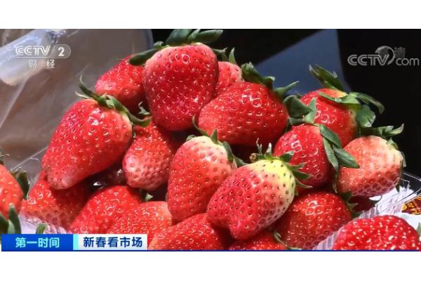 這些熱門水果，價格大降！